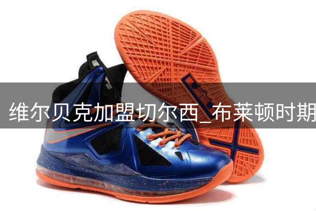 维尔贝克加盟切尔西 布莱顿时期51球领跑生涯数据