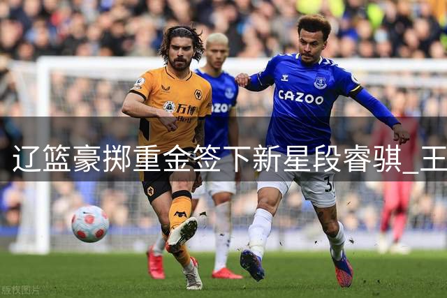 辽篮豪掷重金签下新星段睿骐 王岚嵚或将离队引发关注
